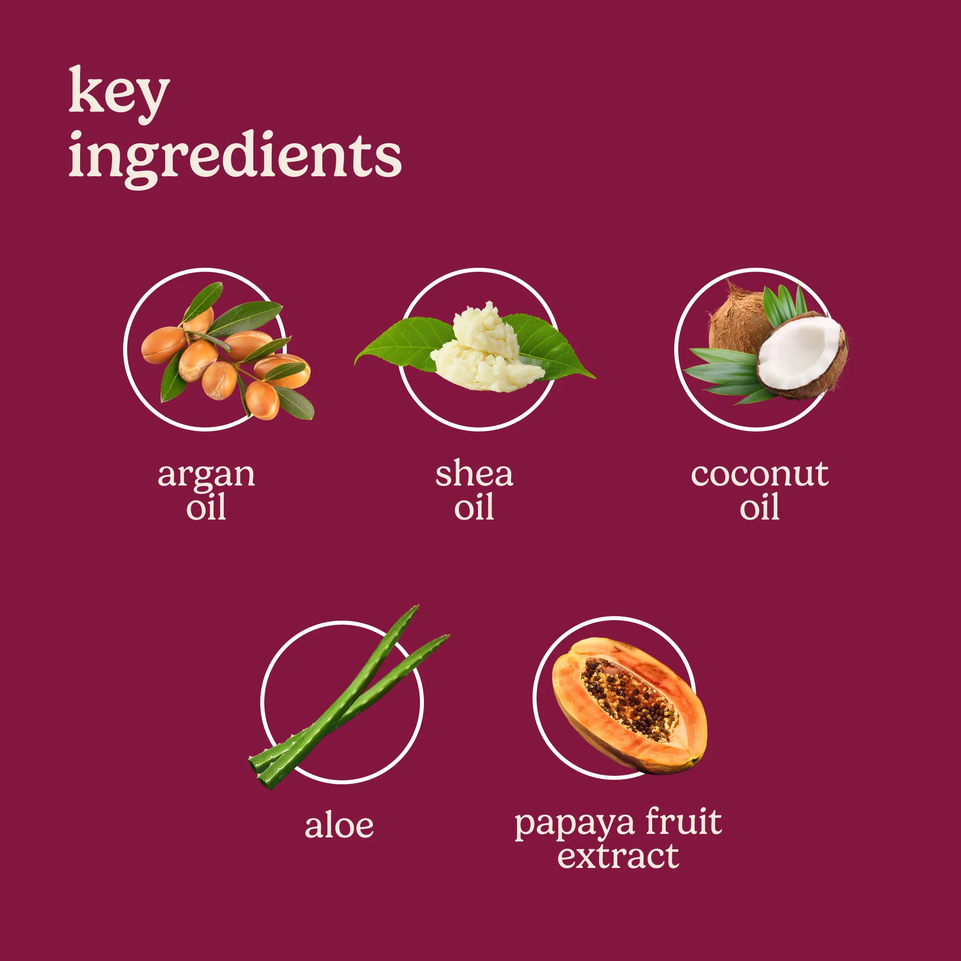 Women's Sugar Scrub - Image 5